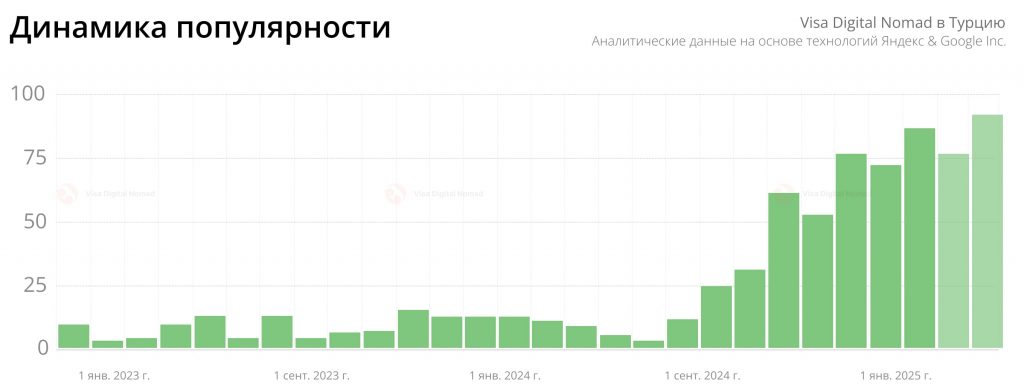 Статистика популярности Digital Nomad Visa в Турцию